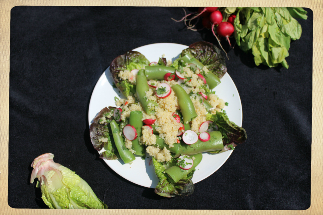 organic radish and quinoa salad recipe