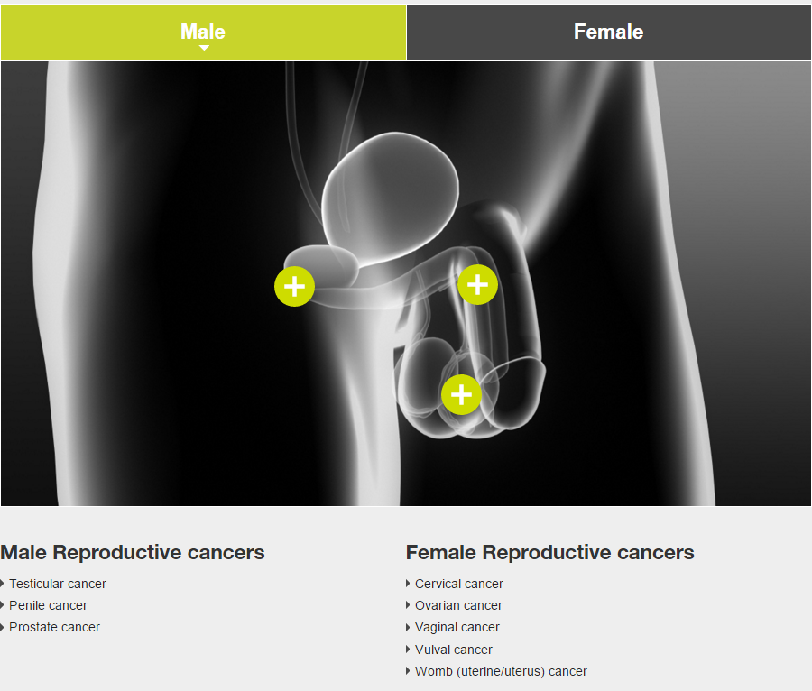 Male reproductive cancer image
