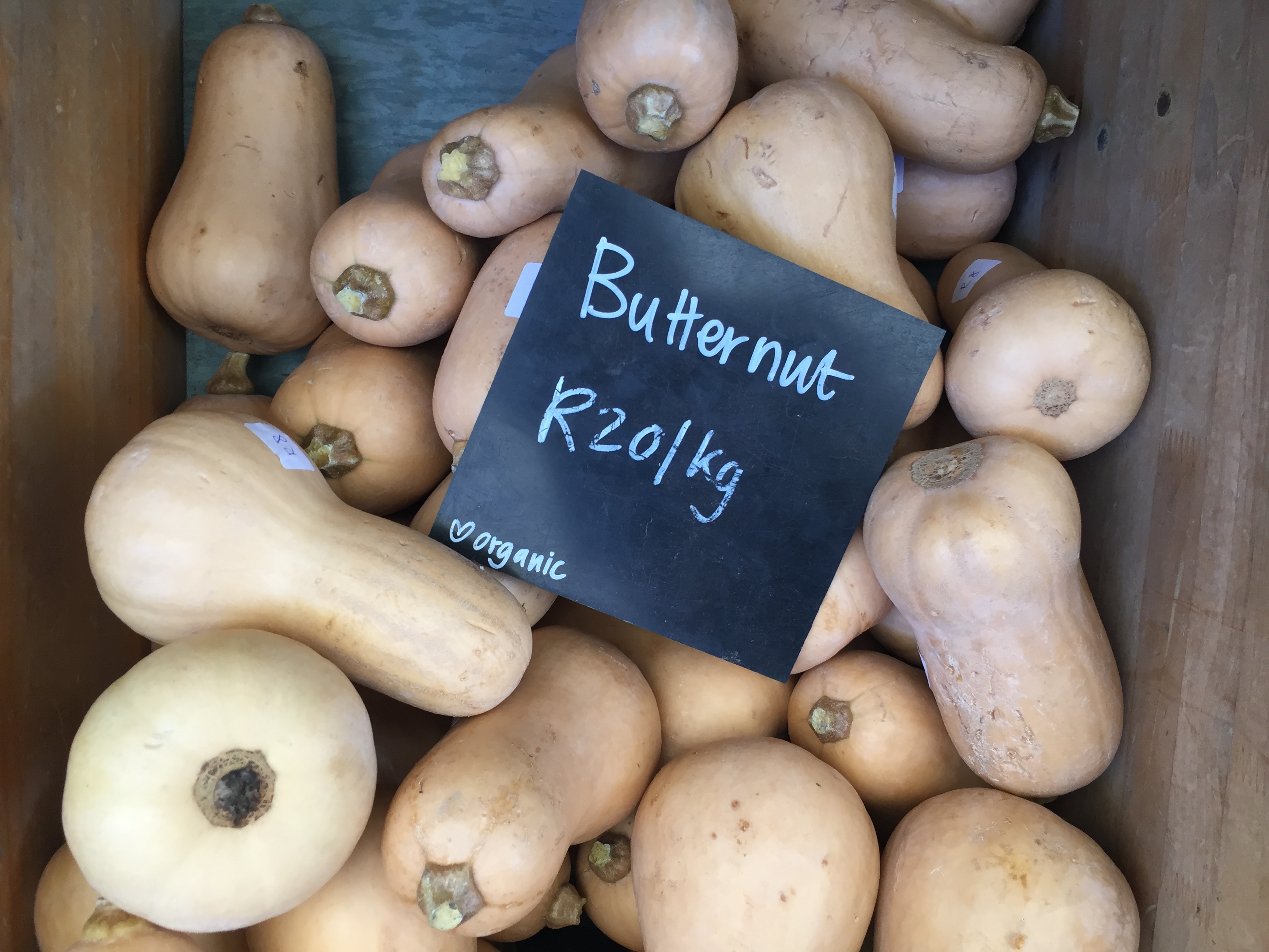 organic butternut at the Granger Bay Market, South Africa - Copyright Great Health Naturally