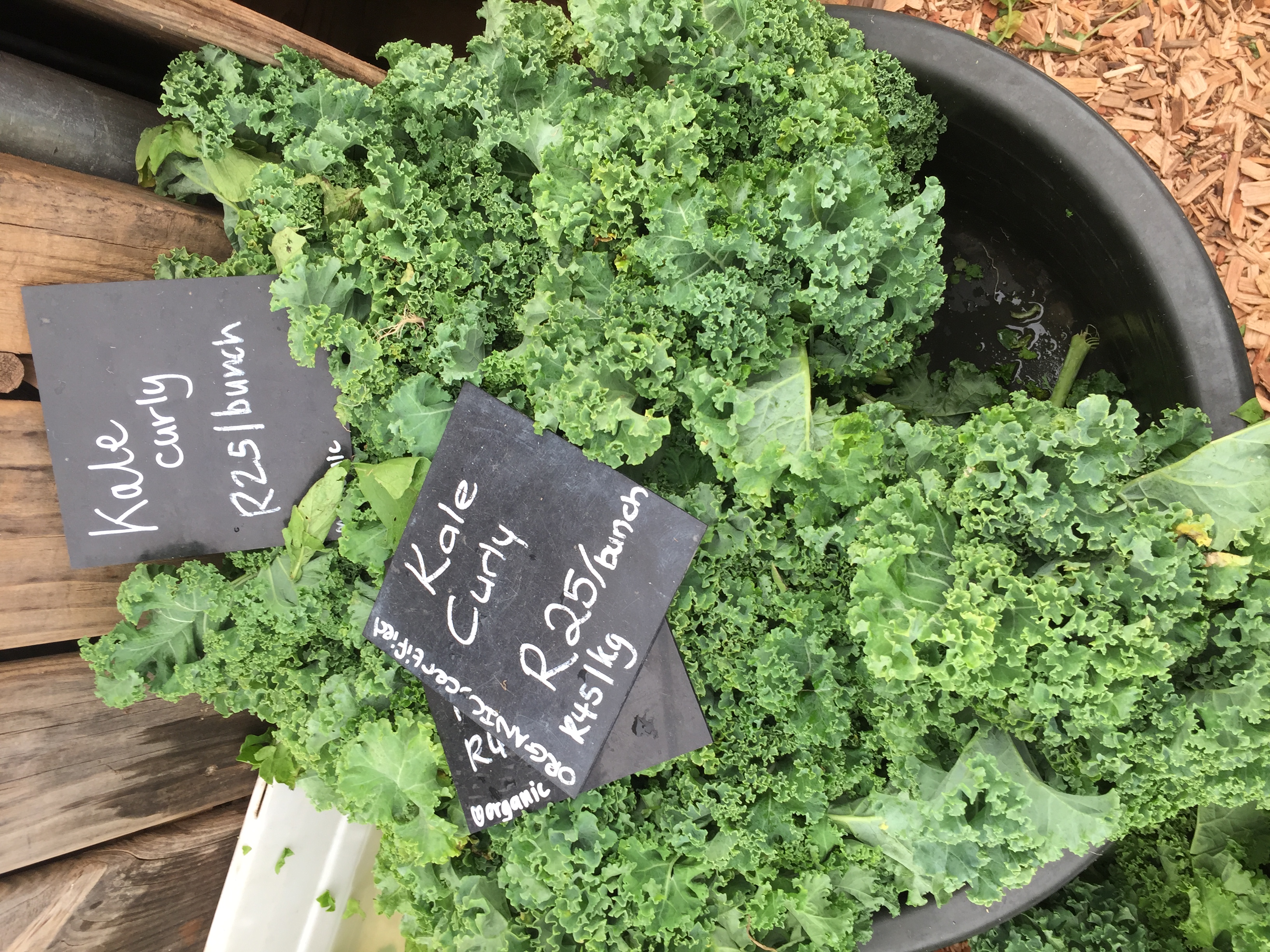 curly organic kale at the Granger Bay Market, Cape Town, South Africa - Copyright Great Health Naturally